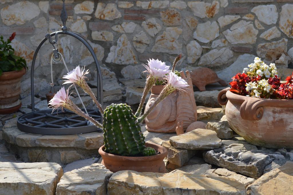 B&B La Casa Fra Gli Olivi Marsciano Buitenkant foto