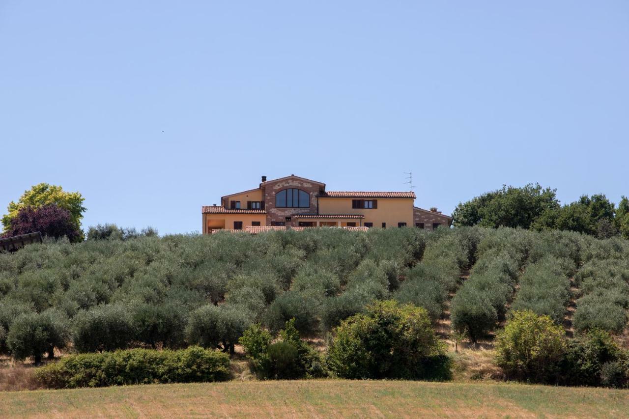 B&B La Casa Fra Gli Olivi Marsciano Buitenkant foto